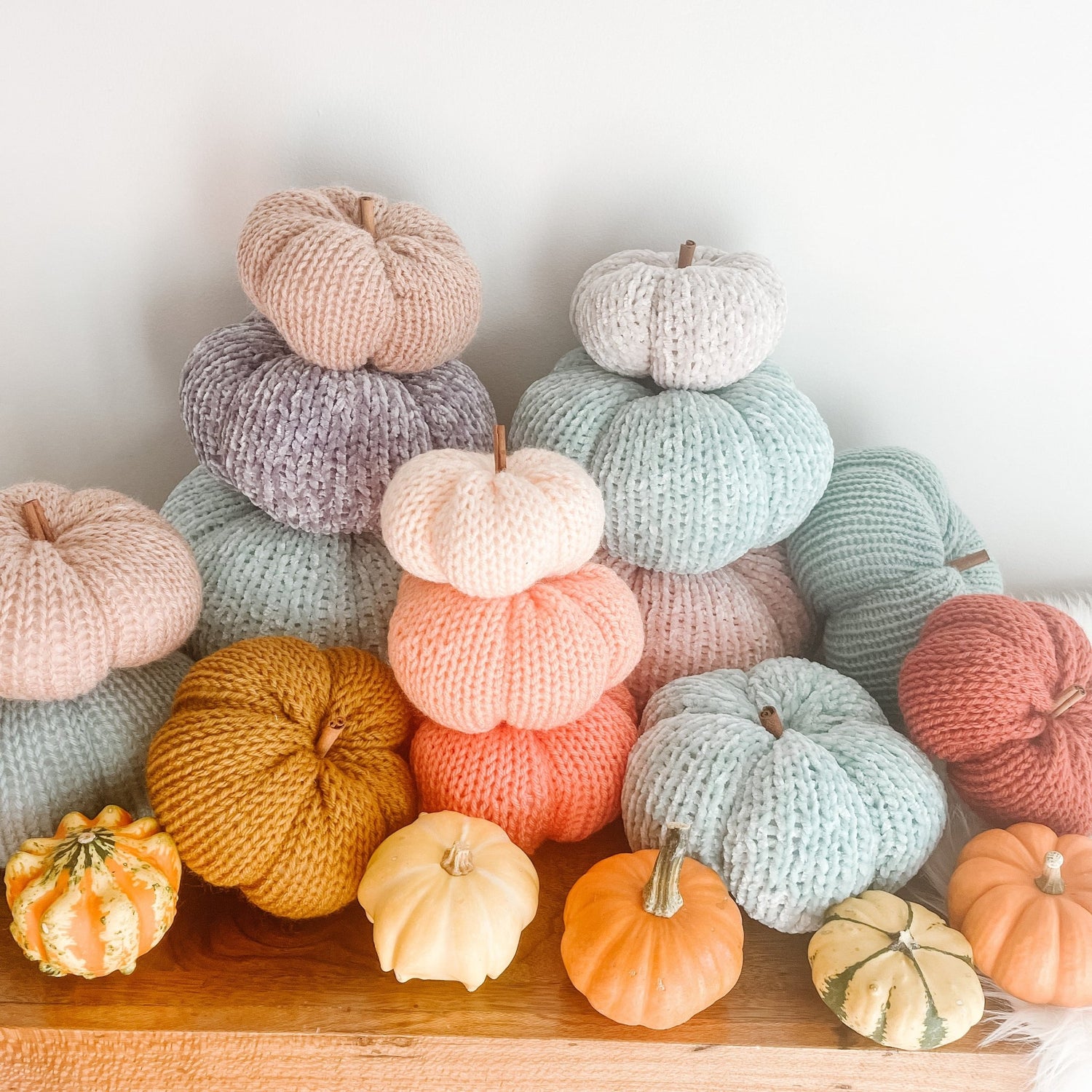 Pumpkins - Buttons & Beans Co.