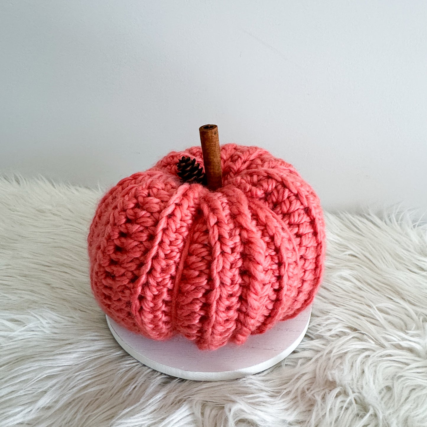 Pumpkin | Coral Crochet Fall Decor