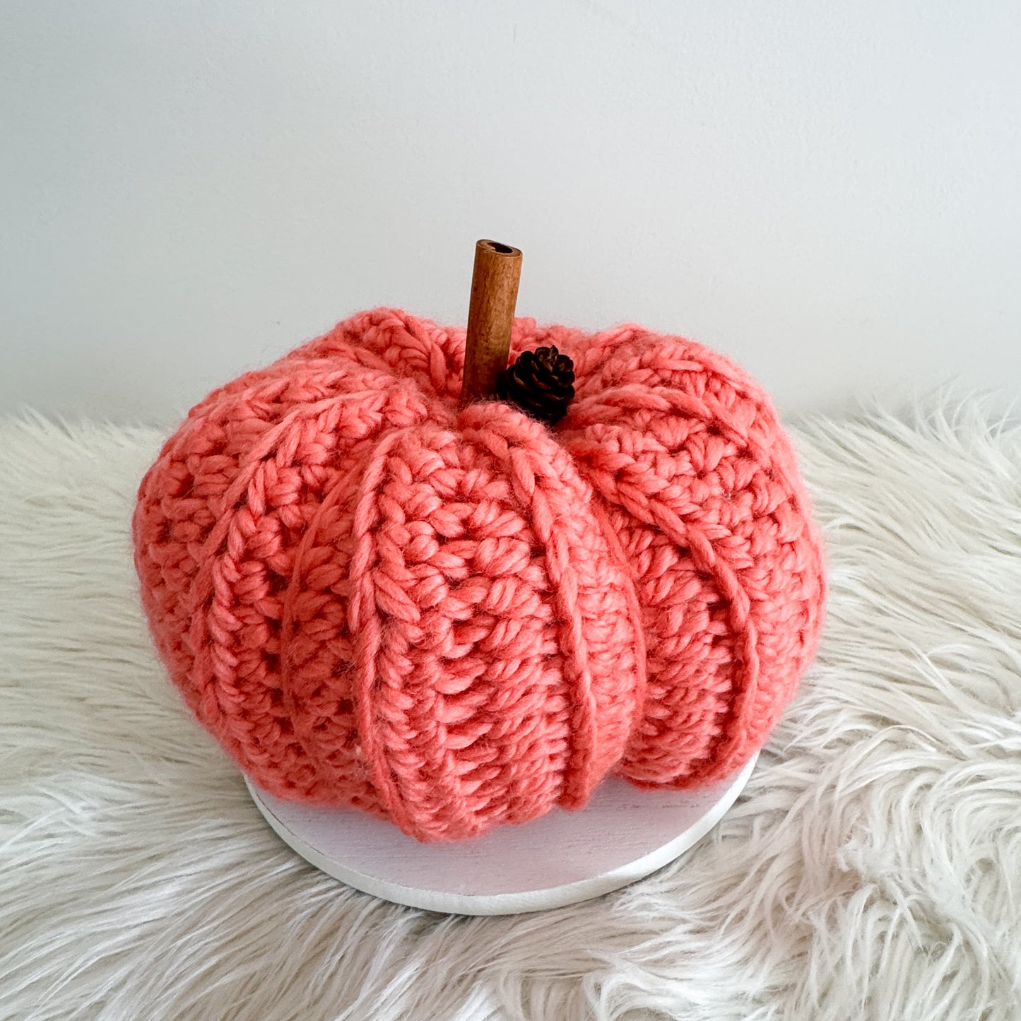 Pumpkin | Coral Crochet Fall Decor