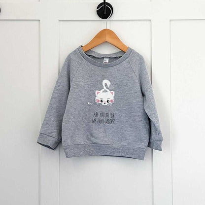 2t Cute Kawaii Unisex Grey Sweater, Cat, Kitten Me Meow Sweatshirt, Kids Funny Kids > Shirts & Tops > Sweatshirts & Hoodies 18 $ Buttons & Beans Co.