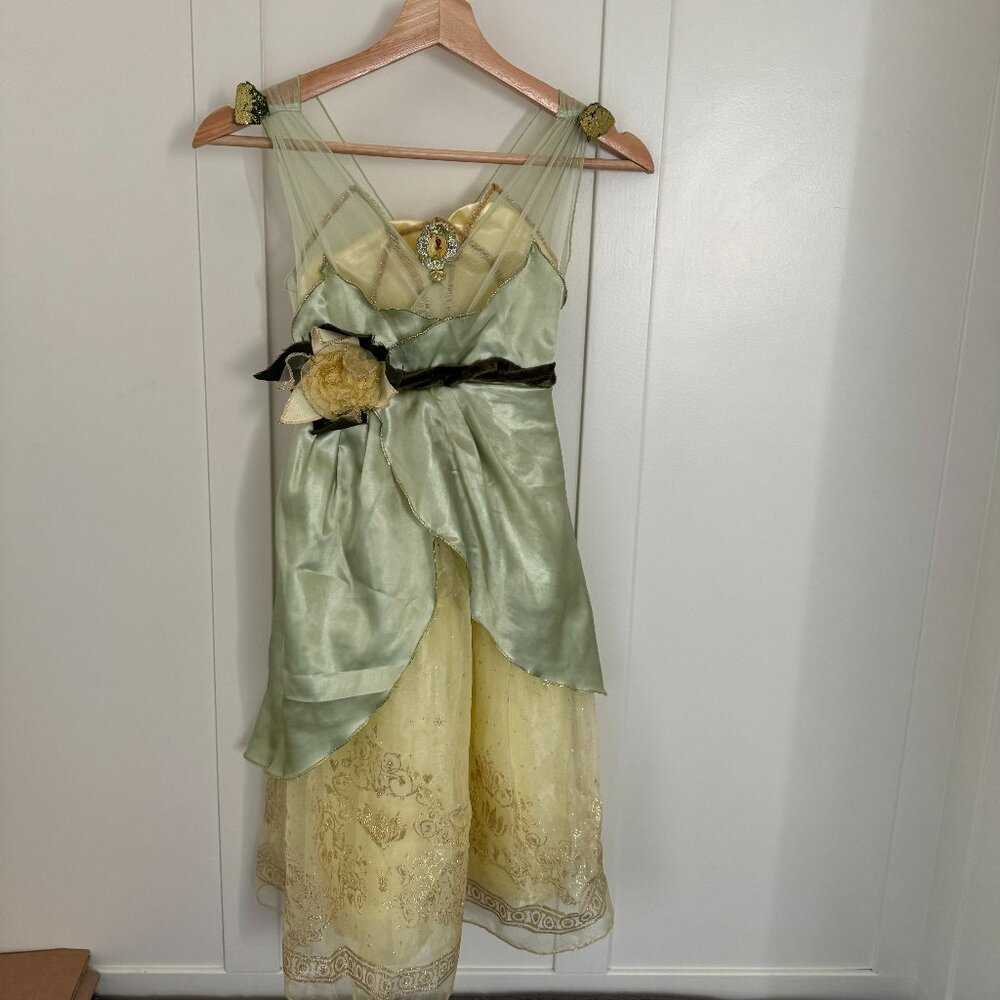 Disney Tiana Princess and the Frog Dress Up Clothes, Halloween, Princess Costume Kids > Costumes 20 $ Buttons & Beans Co.