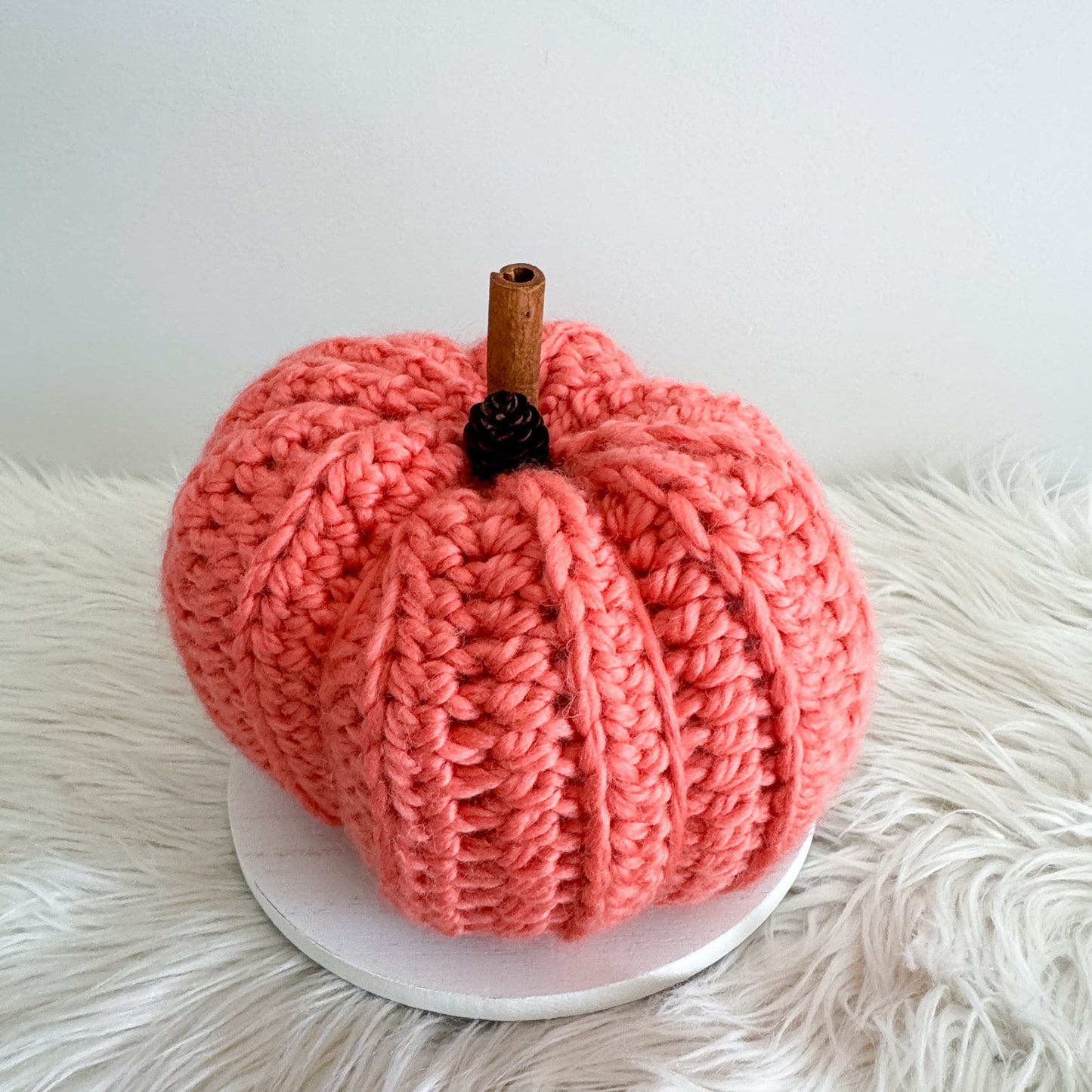 Pumpkin | Coral Crochet Fall Decor