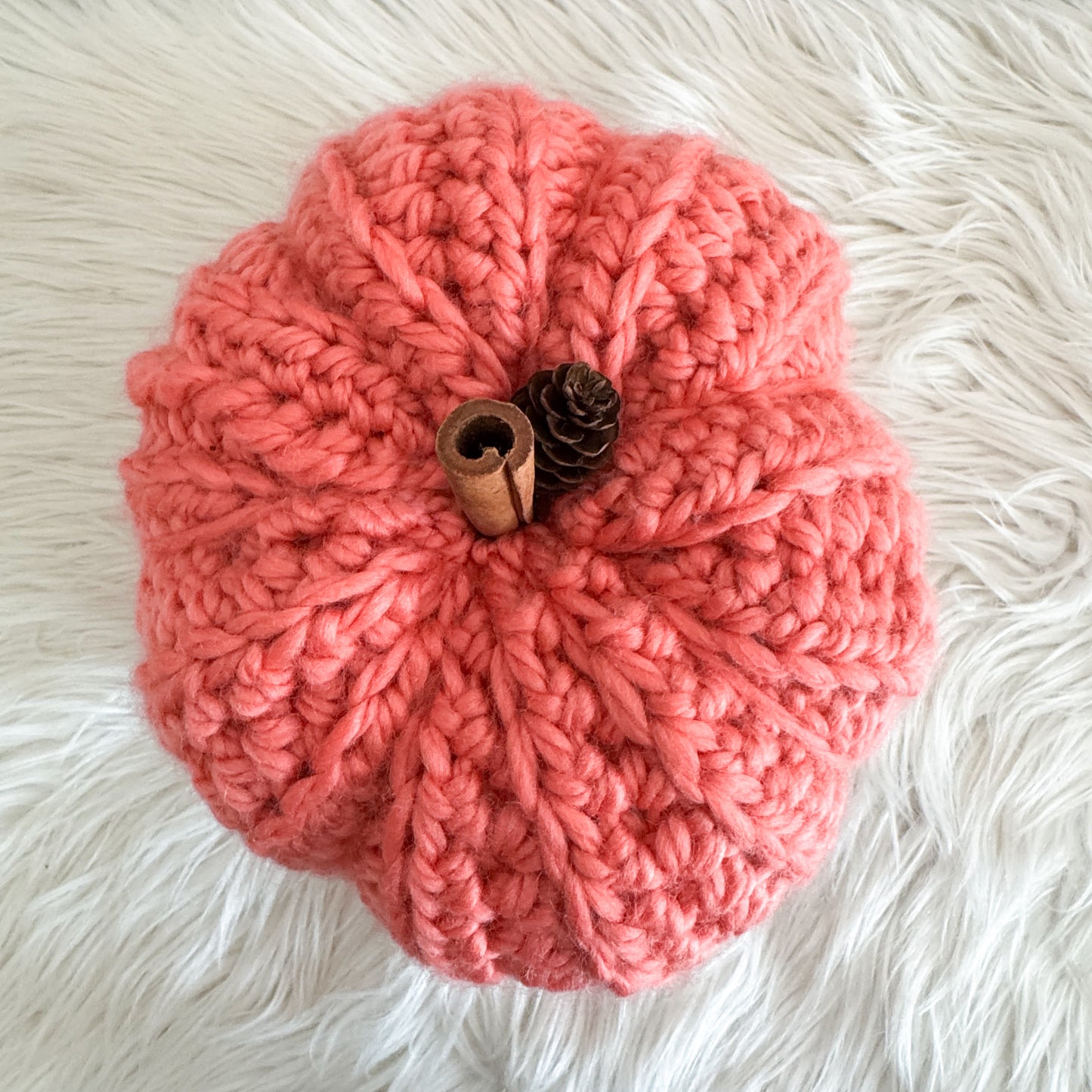 Pumpkin | Coral Crochet Fall Decor