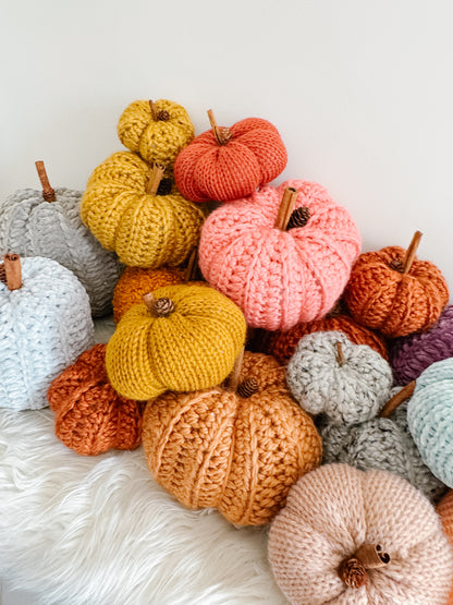 Pumpkin | Coral Crochet Fall Decor