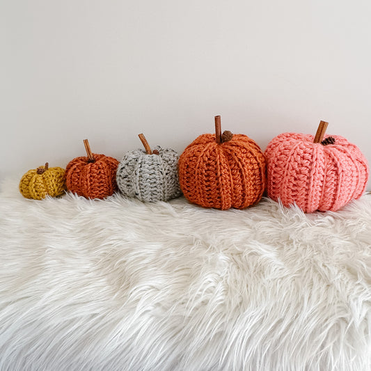 Pumpkin | Chunky Crochet Cozy Fall Decor | Pick your Colour