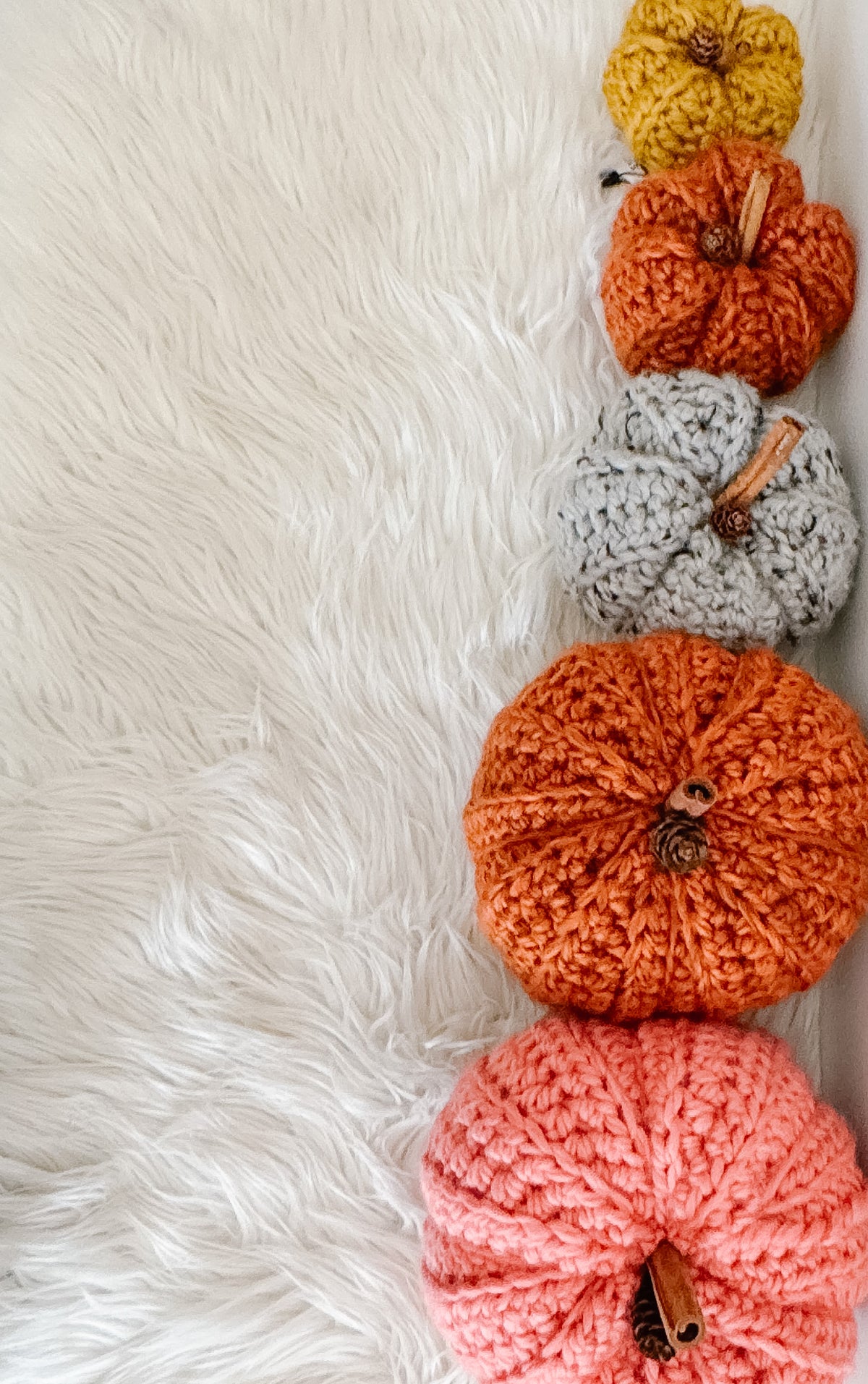 Pumpkin | Chunky Crochet Cozy Fall Decor | Pick your Colour