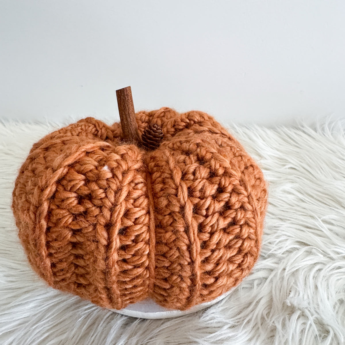 Pumpkin | Chunky Crochet Cozy Fall Decor | Pick your Colour
