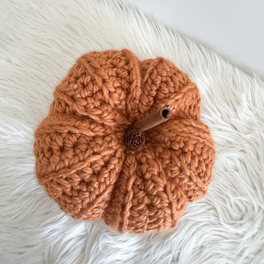 Pumpkin | Chunky Crochet Cozy Fall Decor | Pick your Colour
