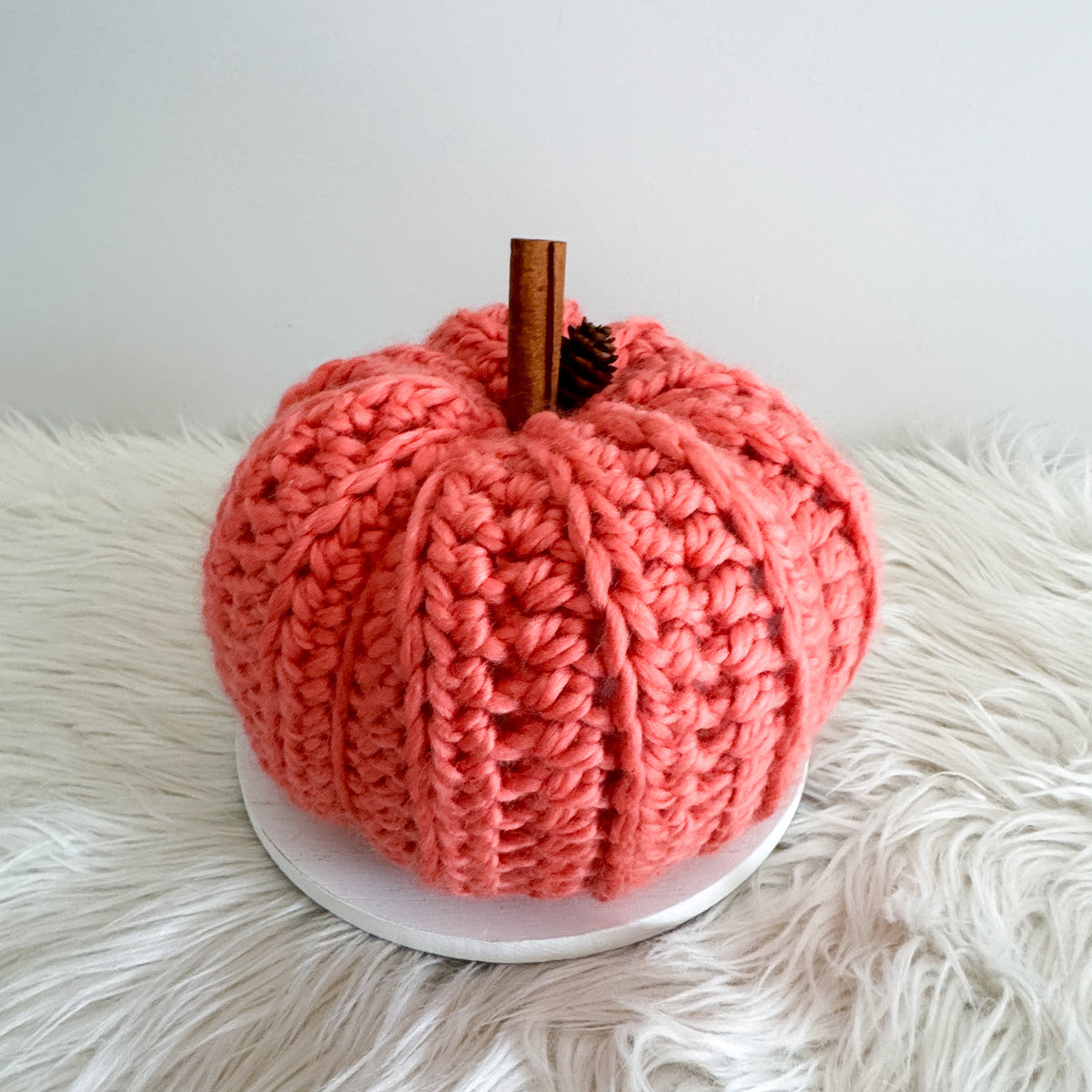 Pumpkin | Chunky Crochet Cozy Fall Decor | Pick your Colour