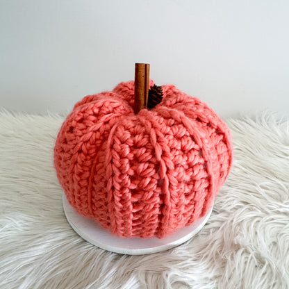 Pumpkin | Chunky Crochet Cozy Fall Decor | Pick your Colour