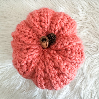 Pumpkin | Chunky Crochet Cozy Fall Decor | Pick your Colour