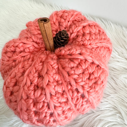 Pumpkin | Chunky Crochet Cozy Fall Decor | Pick your Colour