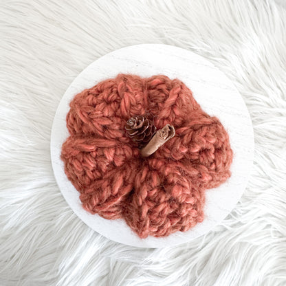 Pumpkin | Chunky Crochet Cozy Fall Decor | Pick your Colour