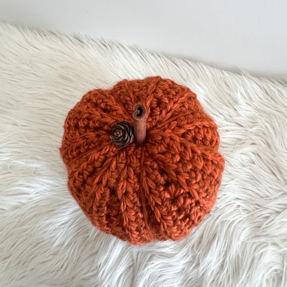 Pumpkin | Chunky Crochet Cozy Fall Decor | Pick your Colour