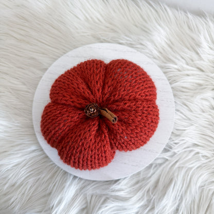 Pumpkin | Knit Fall Decor | Pick your Colour